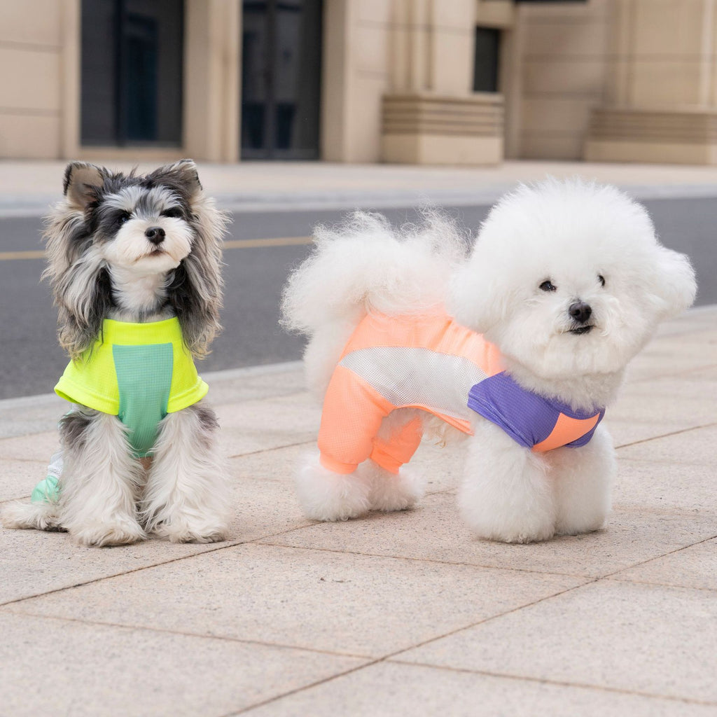 Pet apparel, dog clothes, four-legged outfit, korean style spring/summer new arrival, 26-piece mesh sports four-leg suit