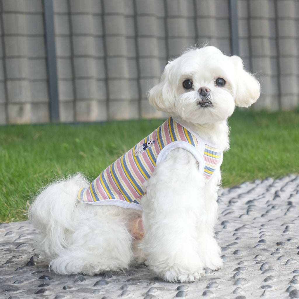 pet Spring Summer Striped Color Match Vest Teddy Schnauzer Bichon dog Clothes Wholesale