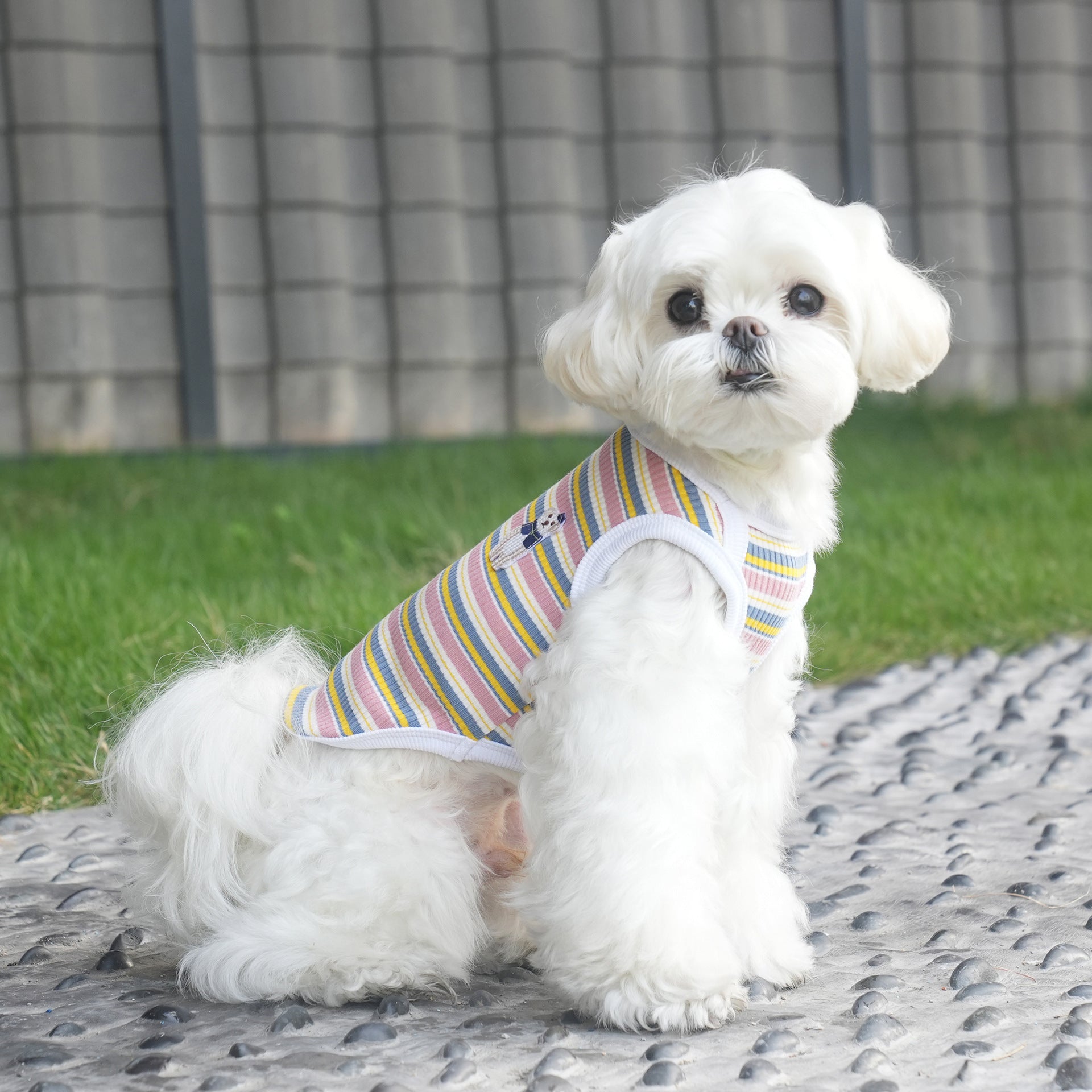 pet Spring Summer Striped Color Match Vest Teddy Schnauzer Bichon dog Clothes Wholesale