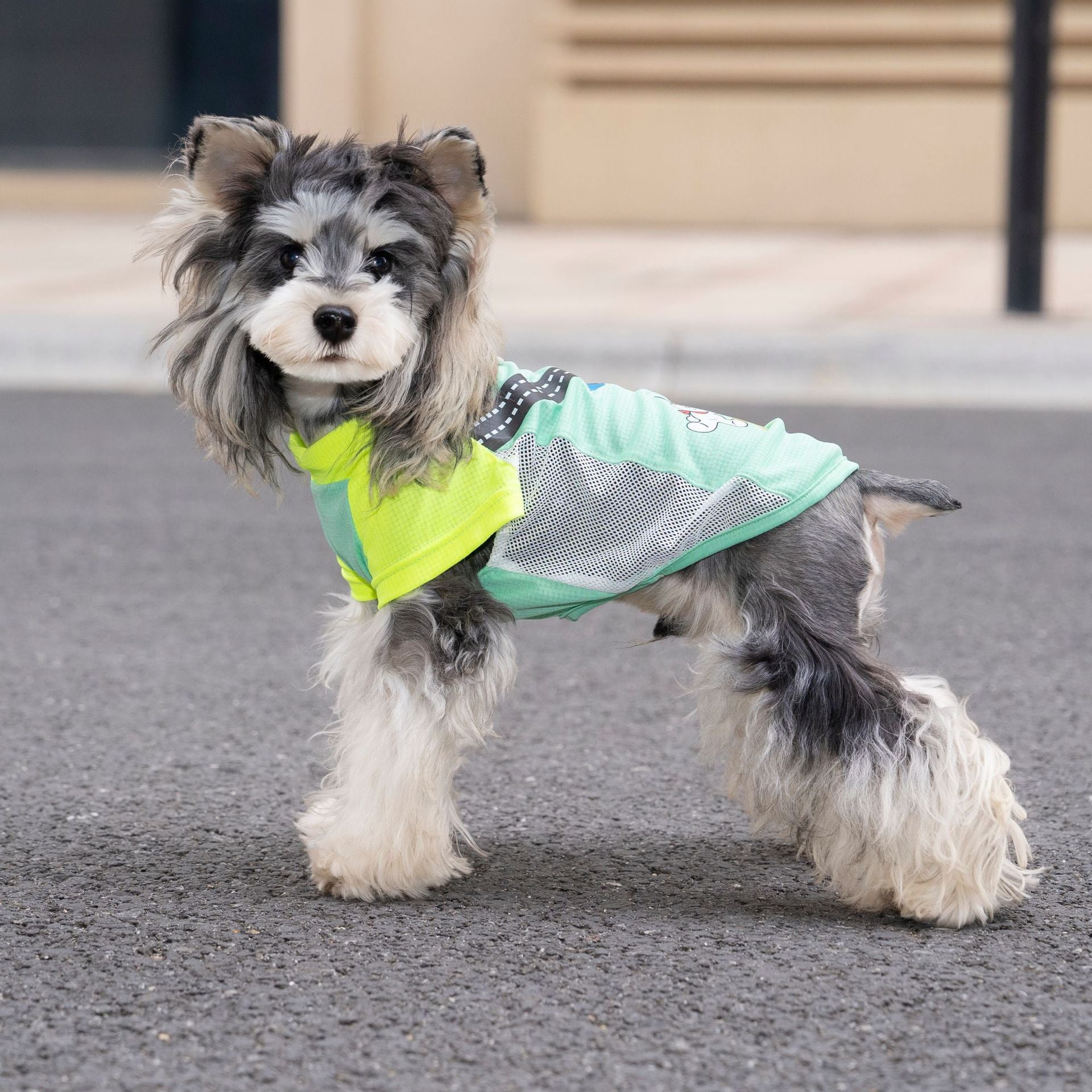 Pet clothes dog cat clothes pet clothing spring and summer new pet vest 26 pendant puppy vest