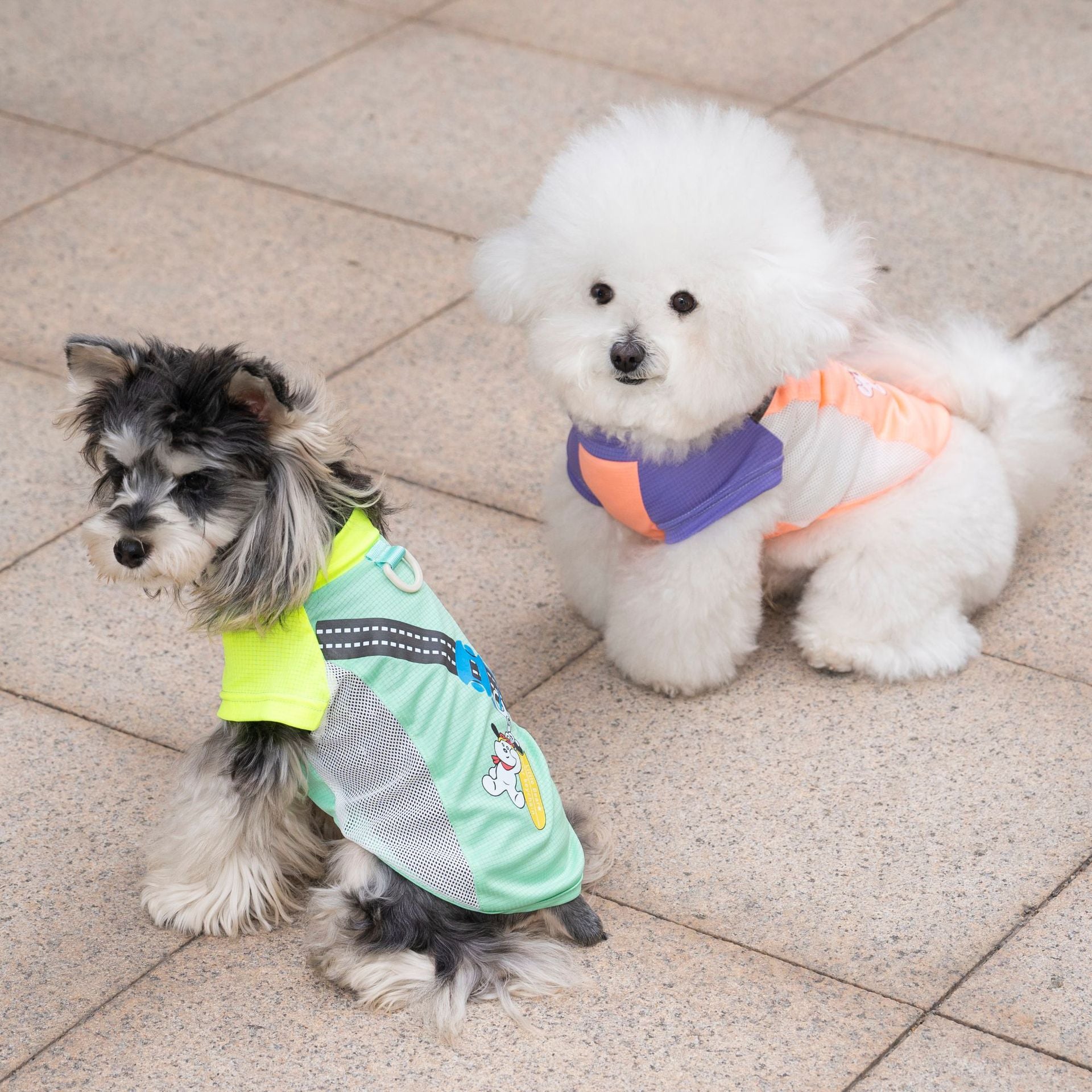 Pet clothes dog cat clothes pet clothing spring and summer new pet vest 26 pendant puppy vest