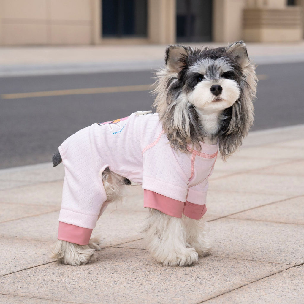 Pet apparel, dog clothes, four-legged outfit, korean style, new spring/summer collection, 26 ice cream print, four-legged design