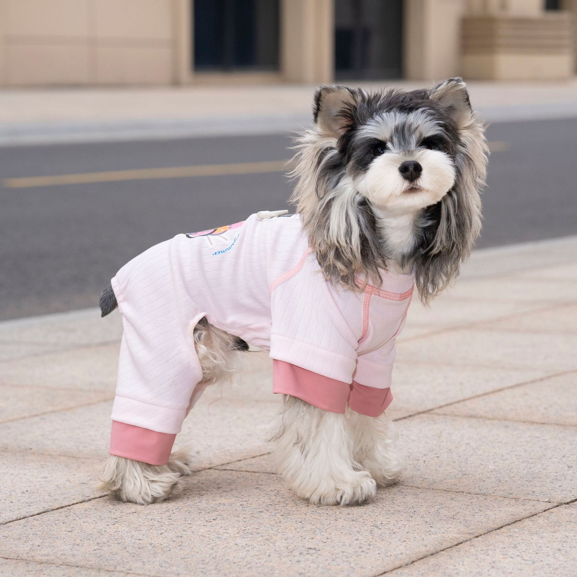 Pet apparel, dog clothes, four-legged outfit, korean style, new spring/summer collection, 26 ice cream print, four-legged design