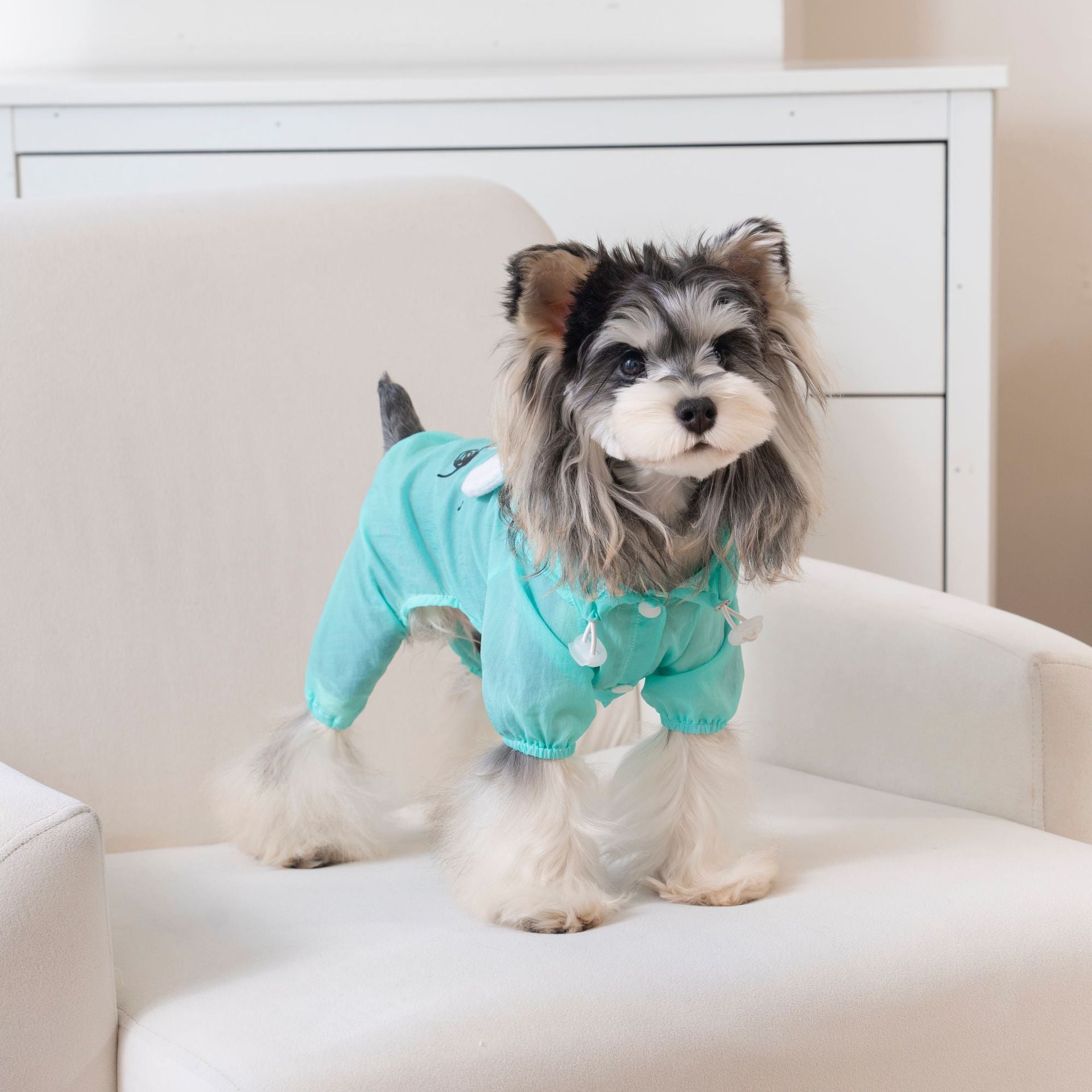 Pet apparel waterproof pet clothes dog clothes four-legged suit spring/summer new 1.3kg color hooded skin suit