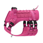 Outdoor Dog Harness Vest – Lightweight Leash Walking Gear