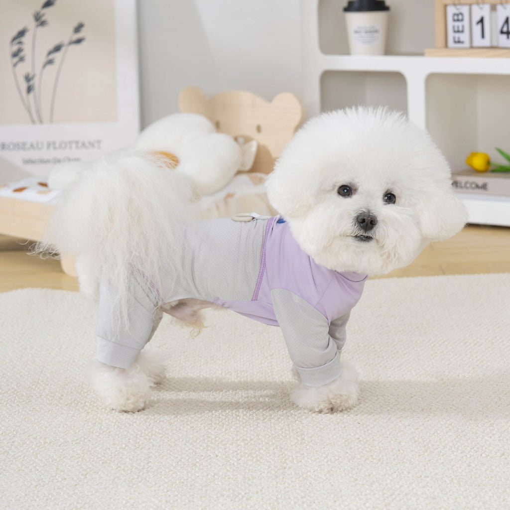 Pet apparel, pet clothes, dog clothes, four-legged outfit, spring/summer new arrivals, 26 styles, sporty mesh loungewear