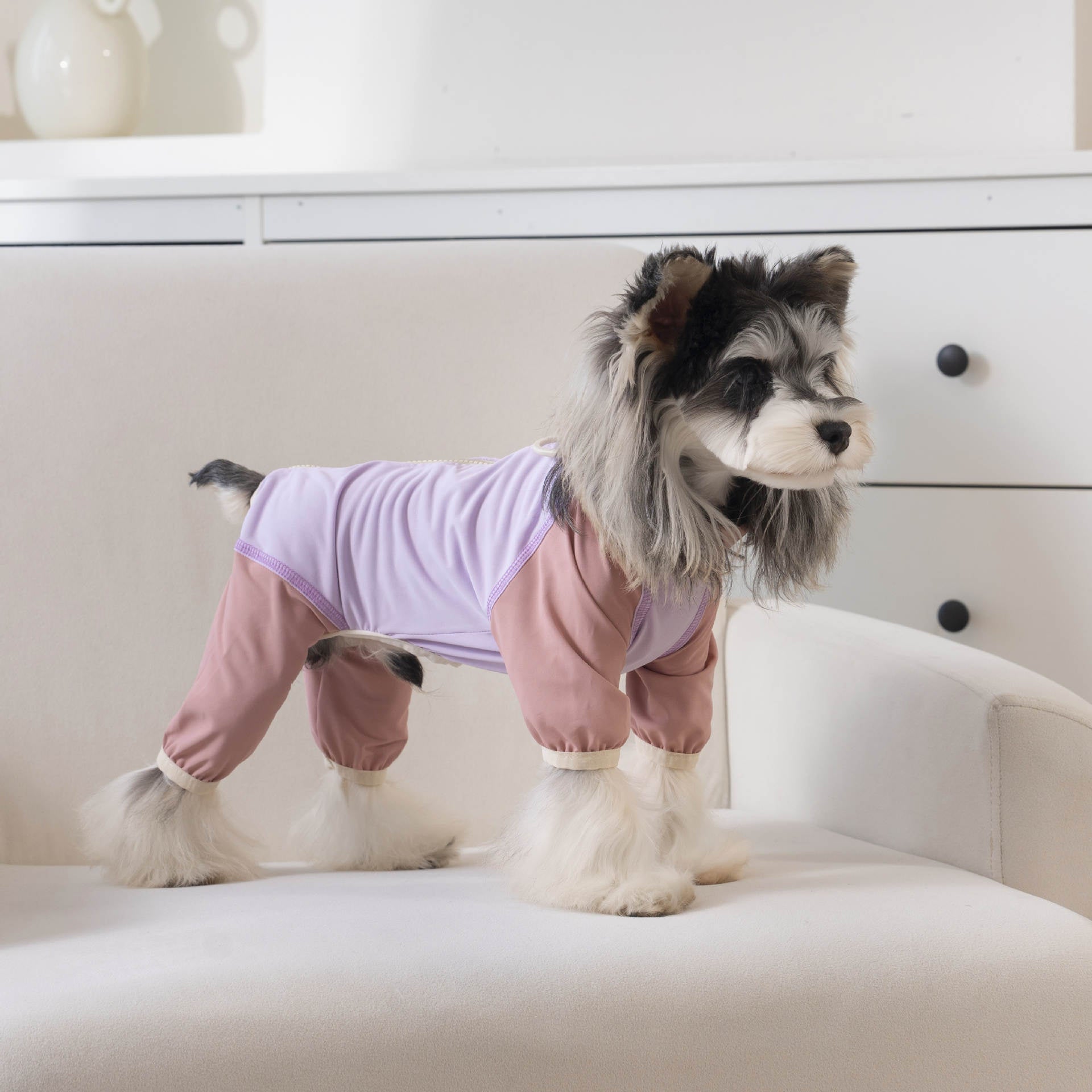 Pet apparel, dog clothes, four-legged outfit, korean style, new spring/summer collection, 26-zipper, cooling four-legged suit