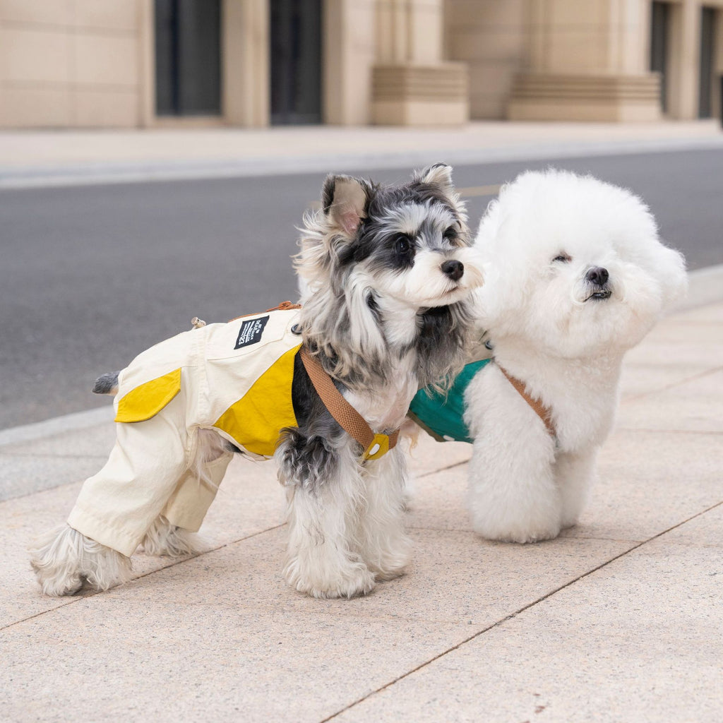 Pet apparel, pet clothes, dog clothes, pet overalls, spring/summer new arrivals, 26 overalls