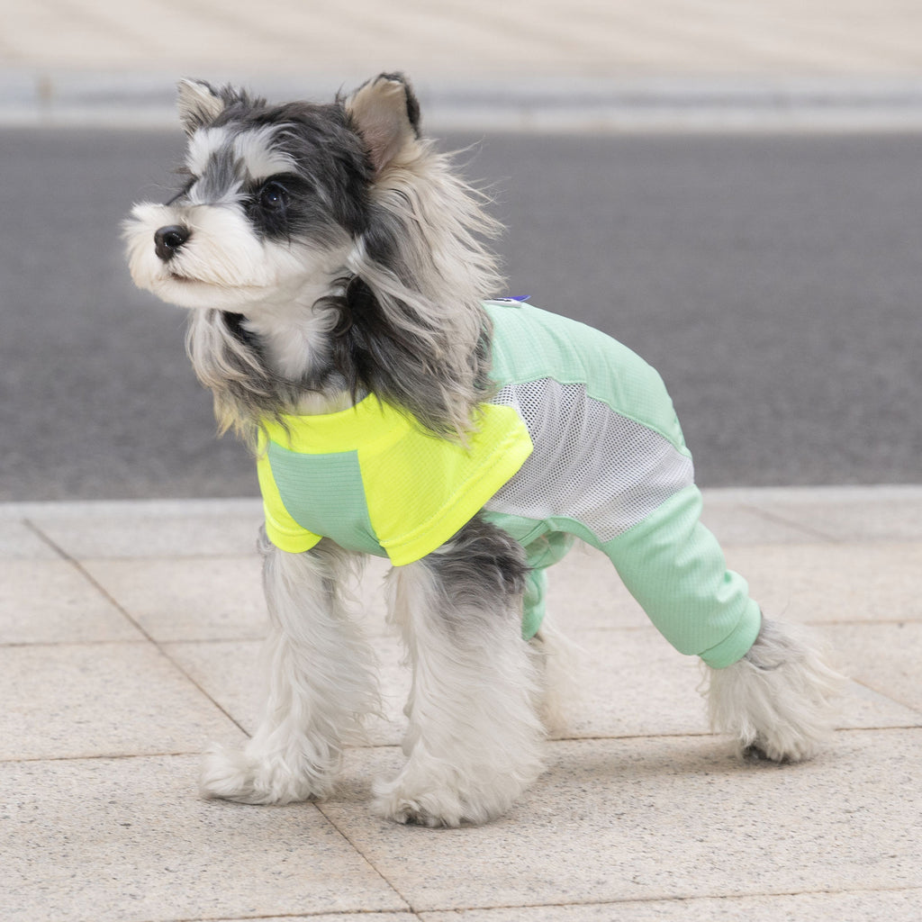 Pet apparel, dog clothes, four-legged outfit, korean style spring/summer new arrival, 26-piece mesh sports four-leg suit