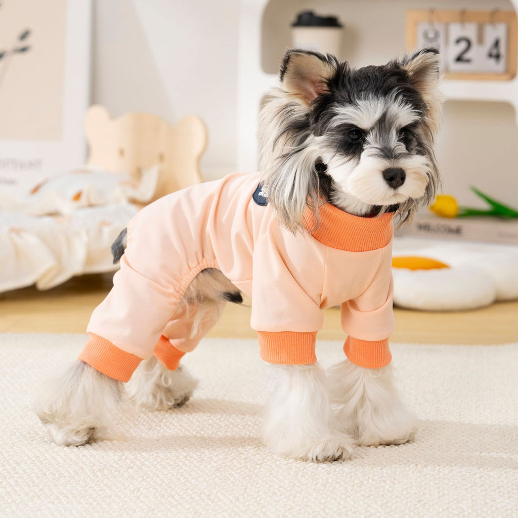 Pet apparel, dog clothes, four-legged outfit, korean style, new spring/summer collection, 26 korean minimalist four-legged design