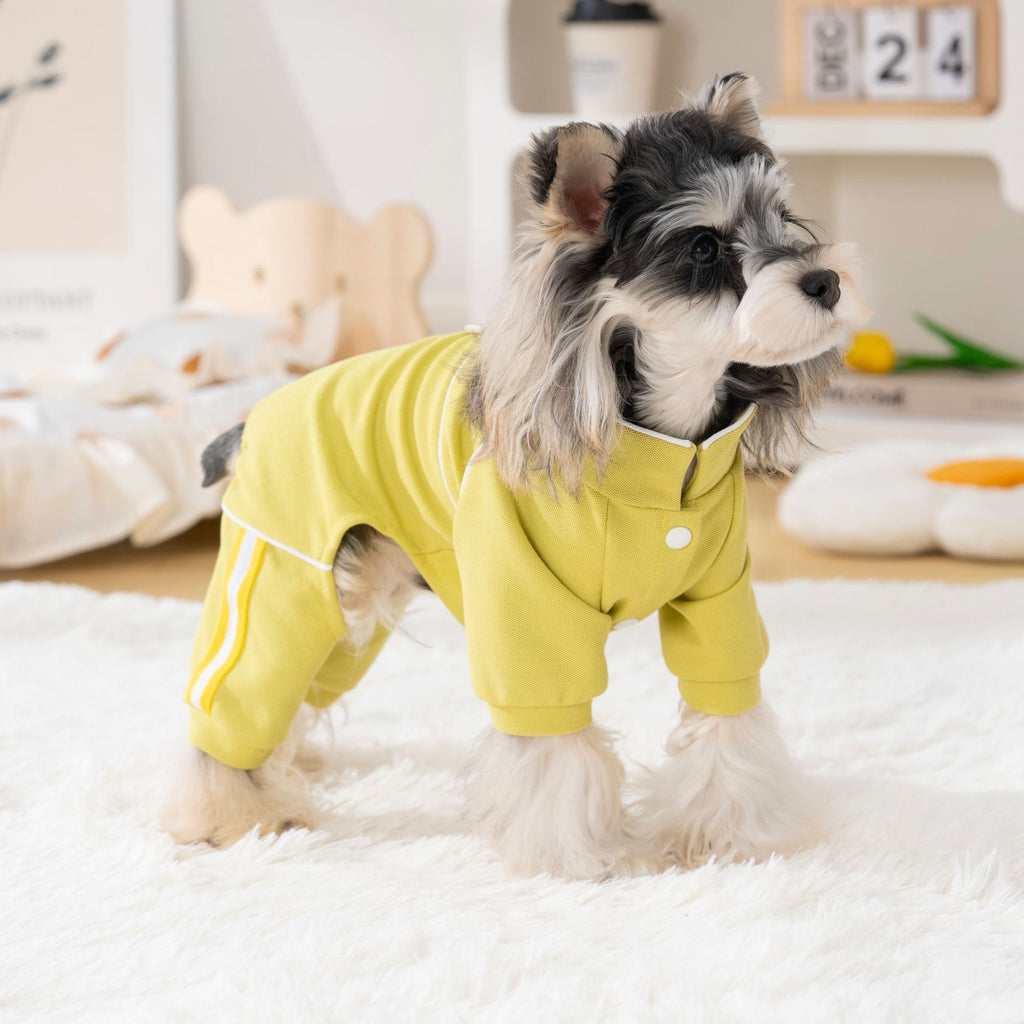 Pet clothing pet clothes dog clothes four-legged clothes k-style spring and summer new arrival 26 dynamic pique four legs