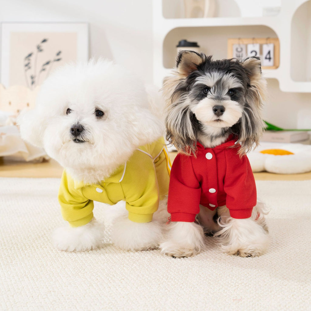Pet clothing pet clothes dog clothes four-legged clothes k-style spring and summer new arrival 26 dynamic pique four legs