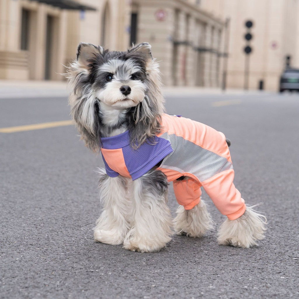 Pet apparel, dog clothes, four-legged outfit, korean style spring/summer new arrival, 26-piece mesh sports four-leg suit