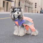 Pet apparel, dog clothes, four-legged outfit, korean style spring/summer new arrival, 26-piece mesh sports four-leg suit