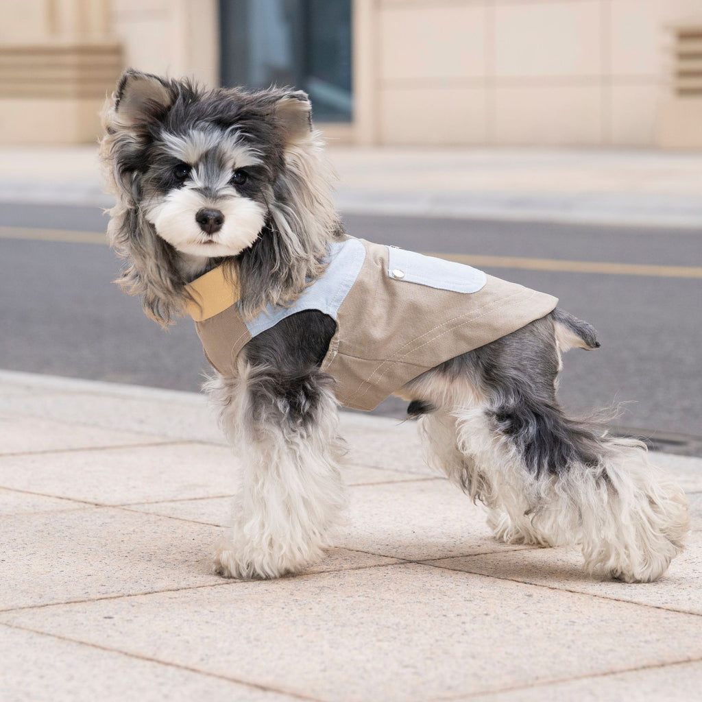 Pet clothes dog cat clothes pet clothing spring and summer new pet outwear 26 korean style washed outwear