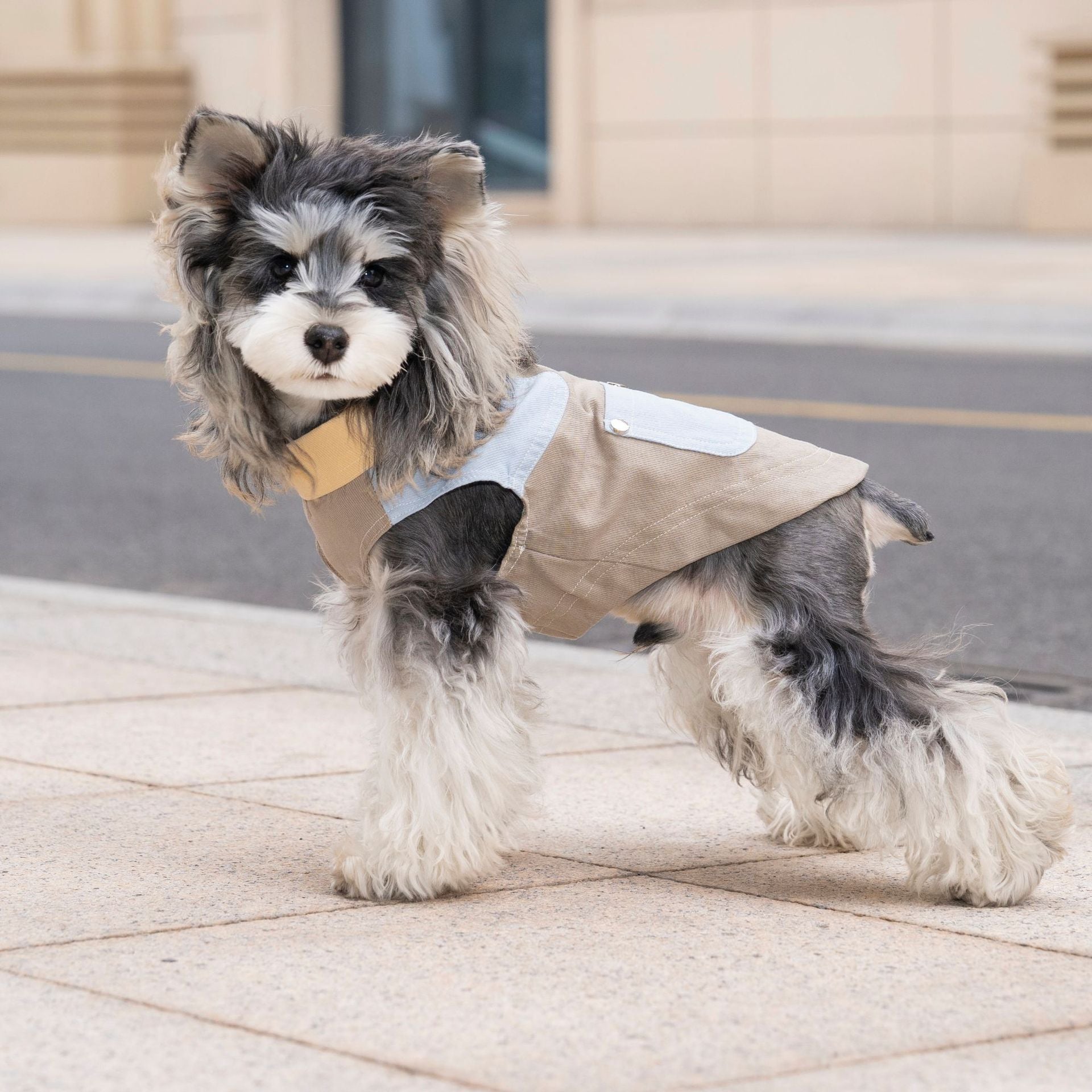 Pet clothes dog cat clothes pet clothing spring and summer new pet outwear 26 korean style washed outwear