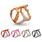Cross Border dog Leash pet Harness Outdoor Harness