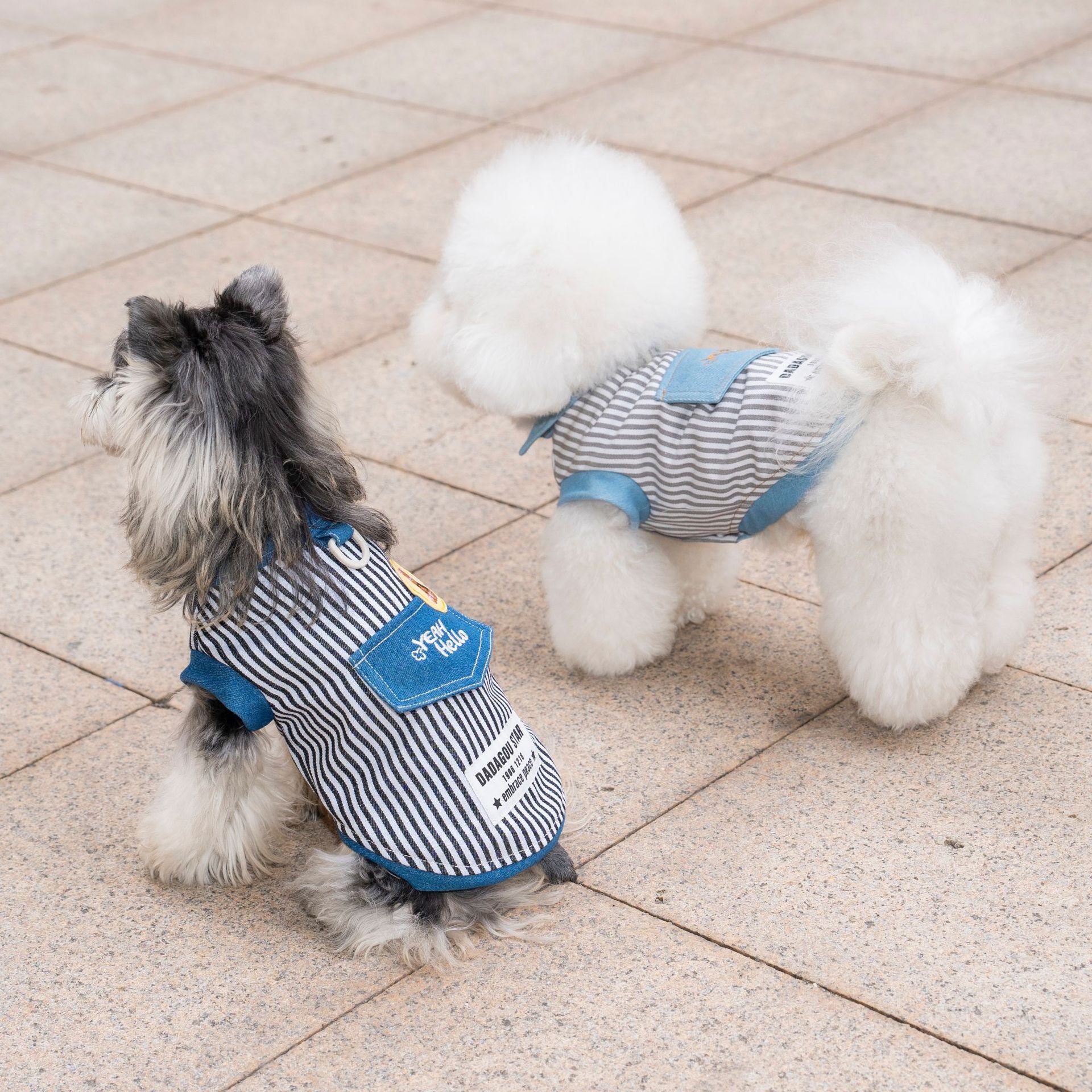 Pet clothes dog cat clothes breathable denim pet clothing spring and summer new pet 26 stripe denim jacket