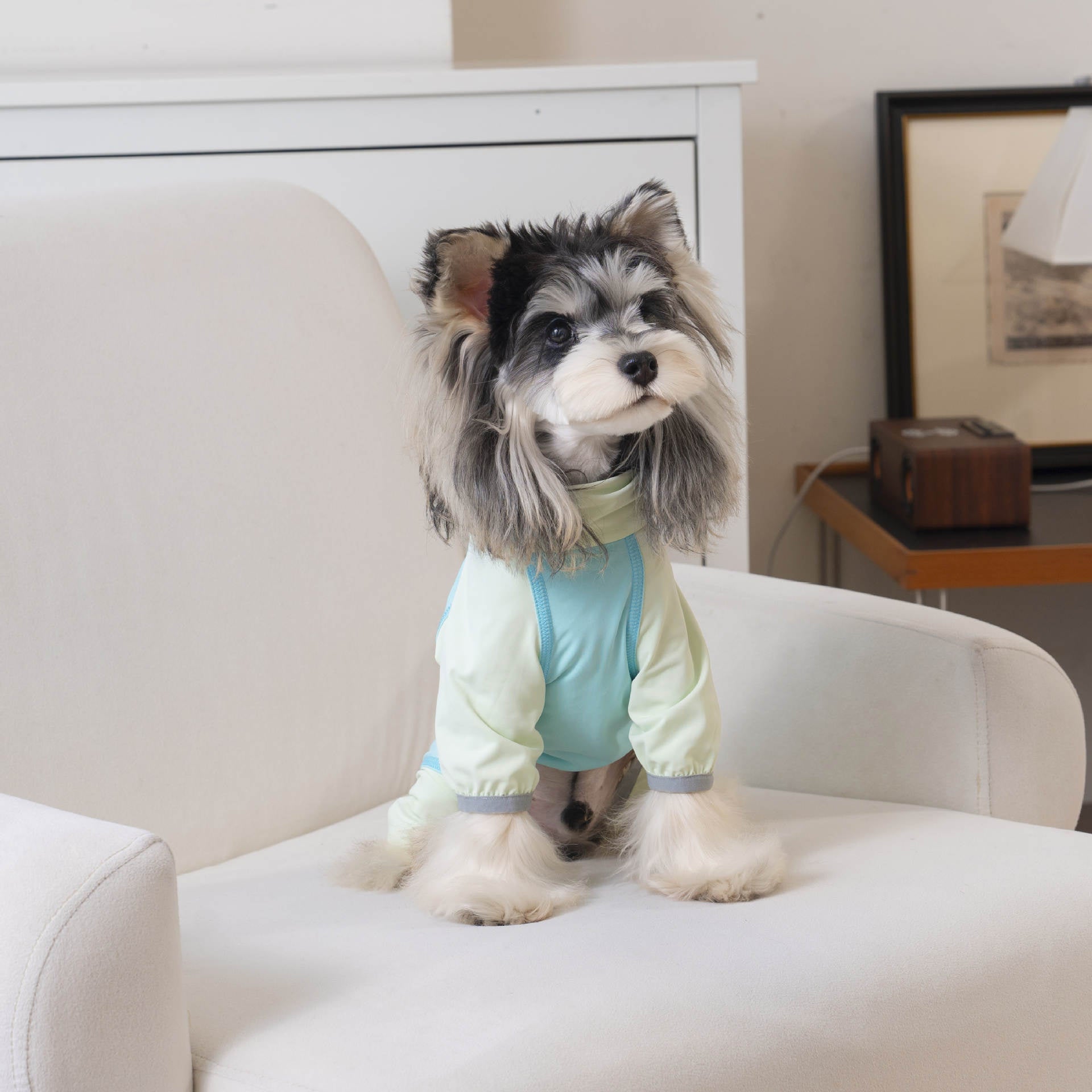 Pet apparel, dog clothes, four-legged outfit, korean style, new spring/summer collection, 26-zipper, cooling four-legged suit