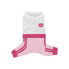 Spring & Summer Mesh Dog Base Layer – Breathable Tennis-Inspired Apparel