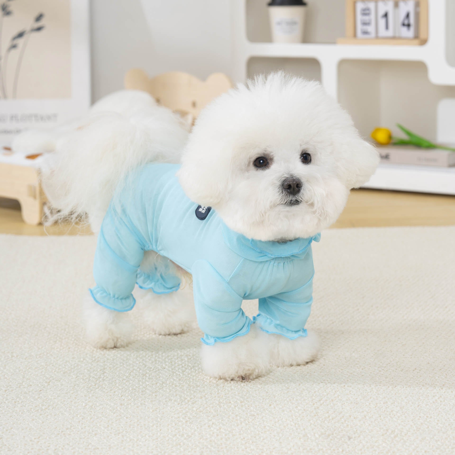 Pet apparel waterproof pet clothes dog clothes four-legged suit spring/summer new 26 mesh mosquito-proof four-leg pants