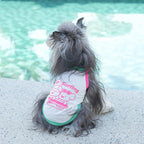 pet Summer Lightweight dog Cool Touch Vest Small to Medium Dogs Teddy