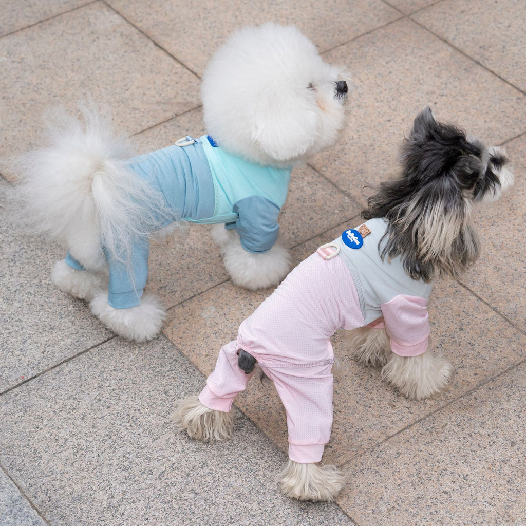 Pet apparel, pet clothes, dog clothes, four-legged outfit, spring/summer new arrivals, 26 styles, sporty mesh loungewear