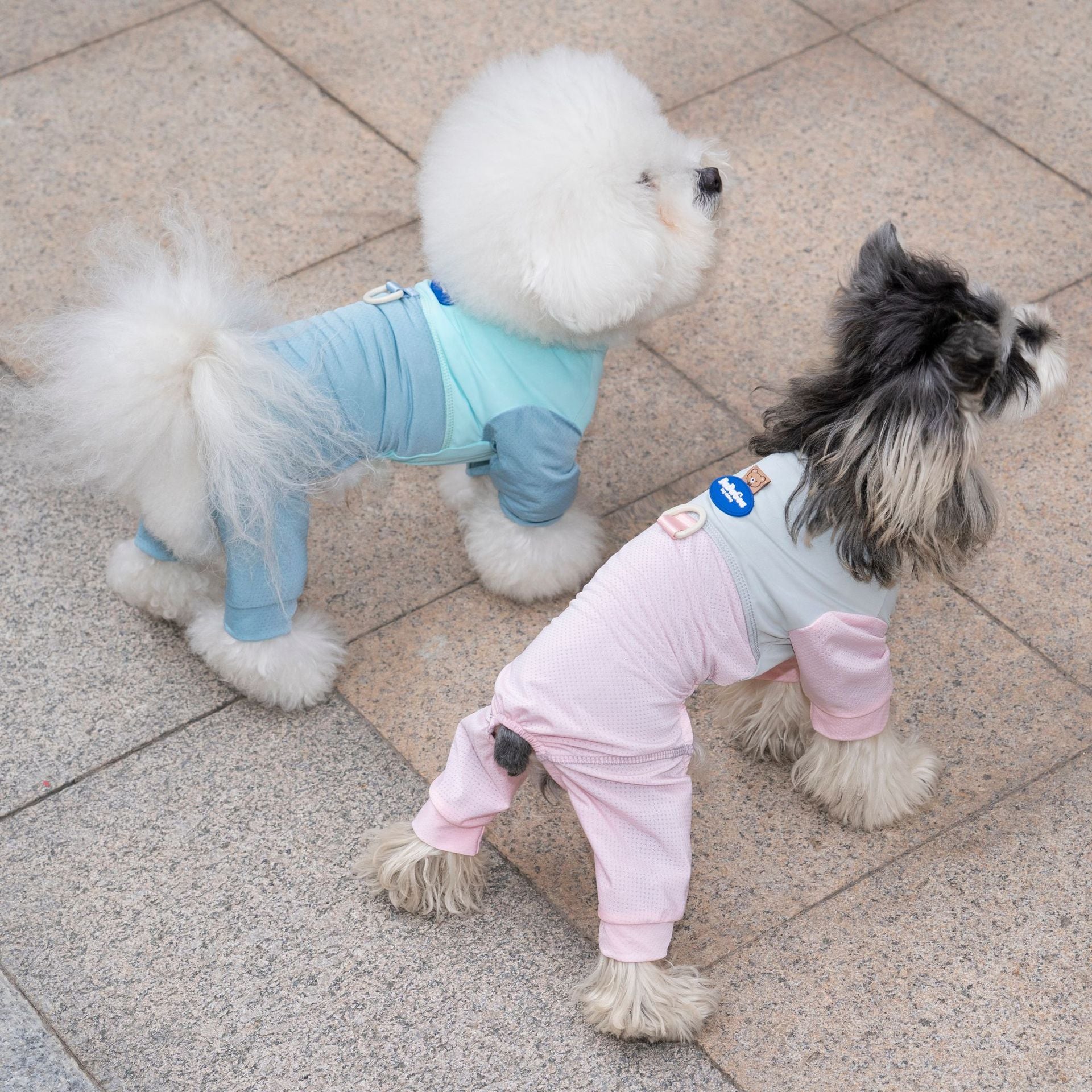 Pet apparel, pet clothes, dog clothes, four-legged outfit, spring/summer new arrivals, 26 styles, sporty mesh loungewear