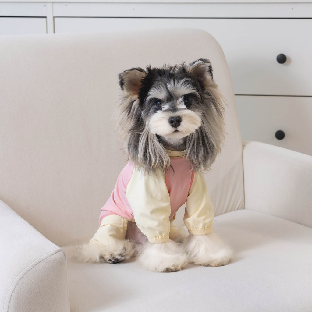 Pet apparel, dog clothes, four-legged outfit, korean style, new spring/summer collection, 26-zipper, cooling four-legged suit