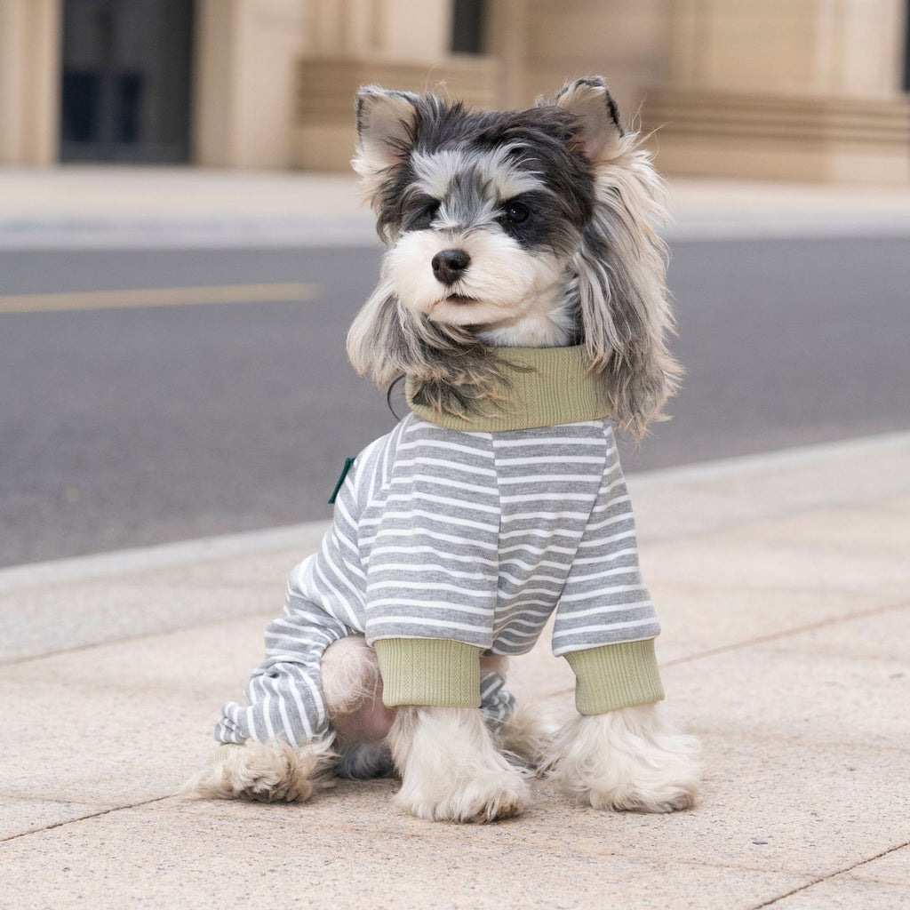 Pet apparel, breathable dog clothes, four-legged outfit, spring/summer new arrival, 26 large collar striped four-legged style