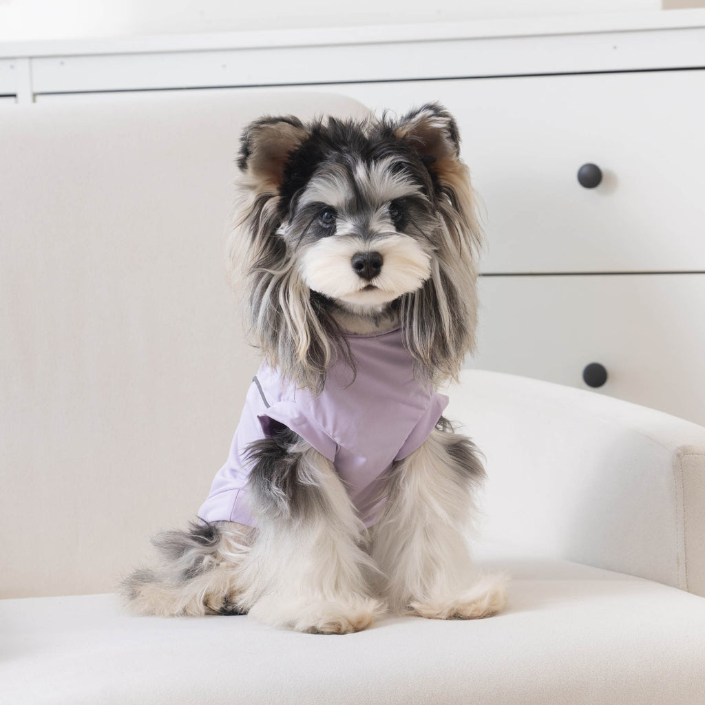 Pet clothes dog clothes pet apparel spring/summer new reflective pet t-shirt luminous 26 reflective sports t-shirt