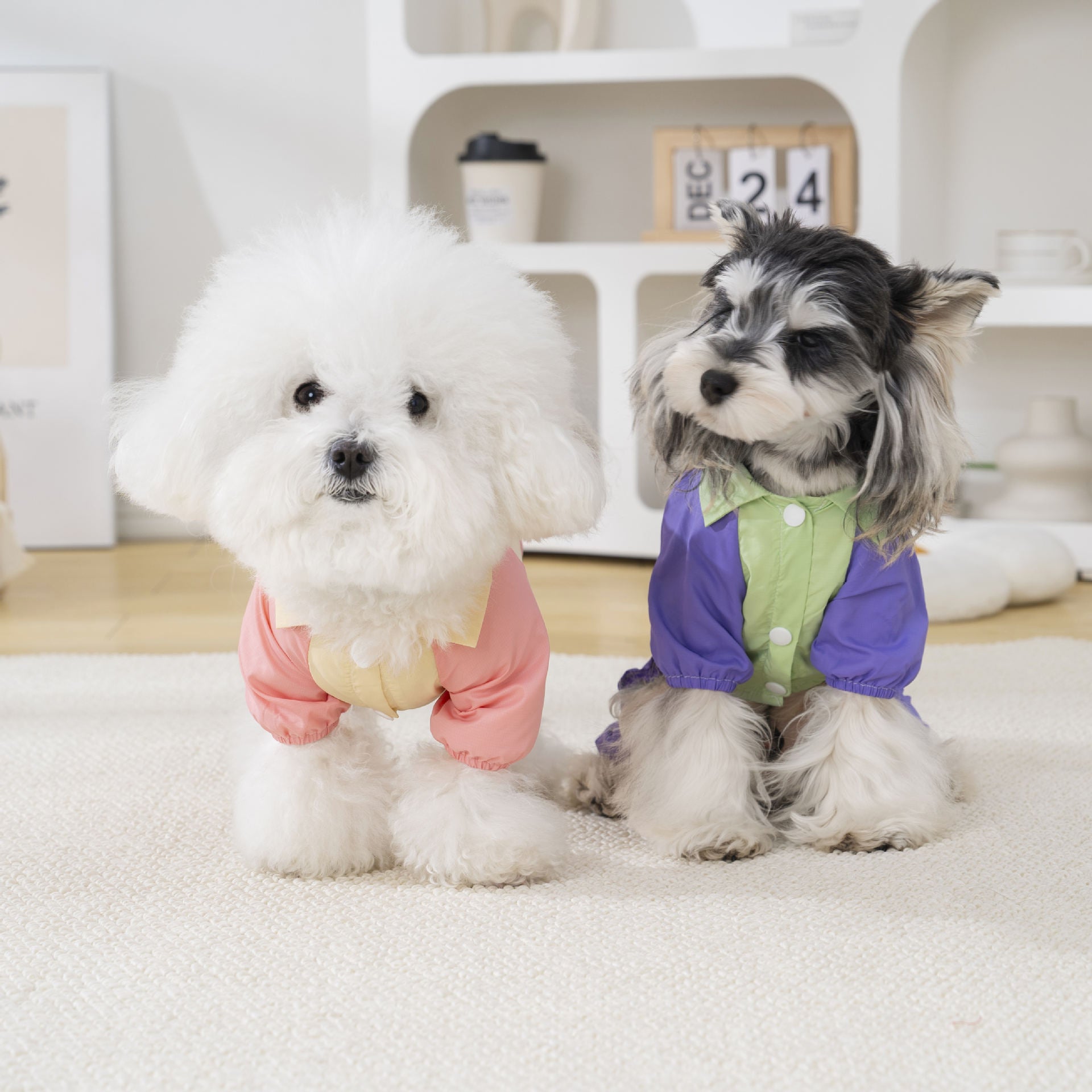 Pet clothing waterproof pet clothing cat dog clothing four-legged clothing spring and summer new arrival 26 baseball bear four-legged