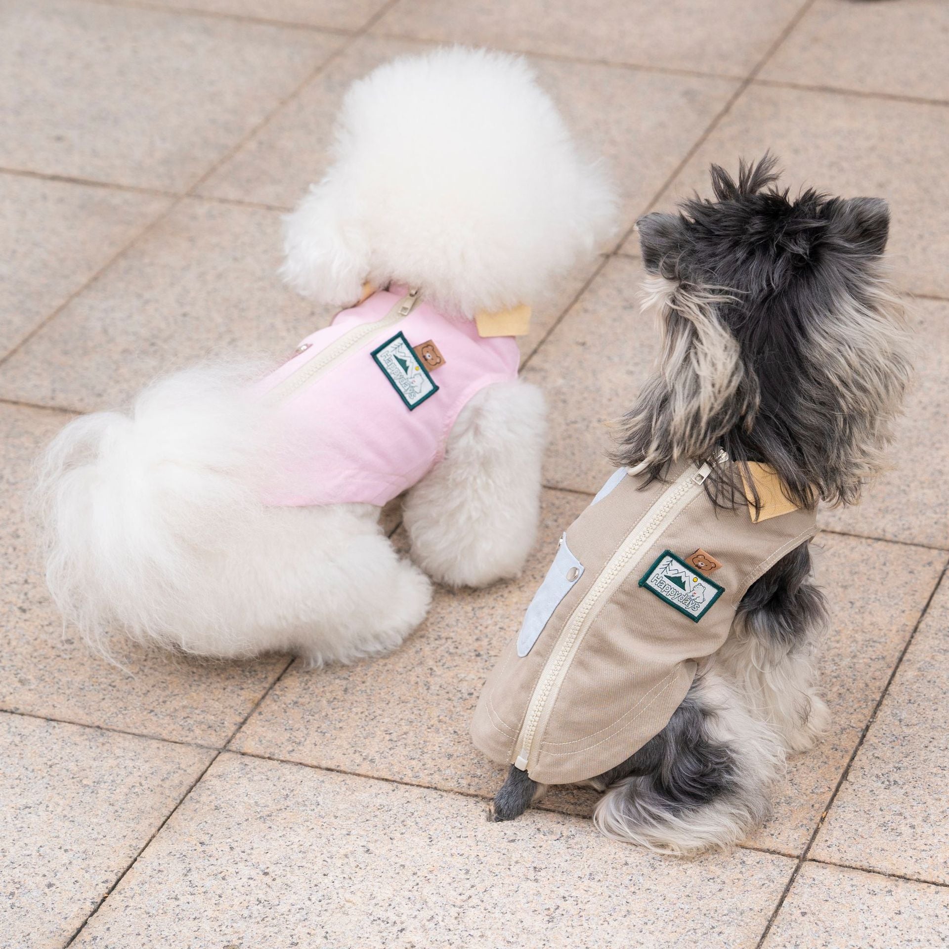 Pet clothes dog cat clothes pet clothing spring and summer new pet outwear 26 korean style washed outwear