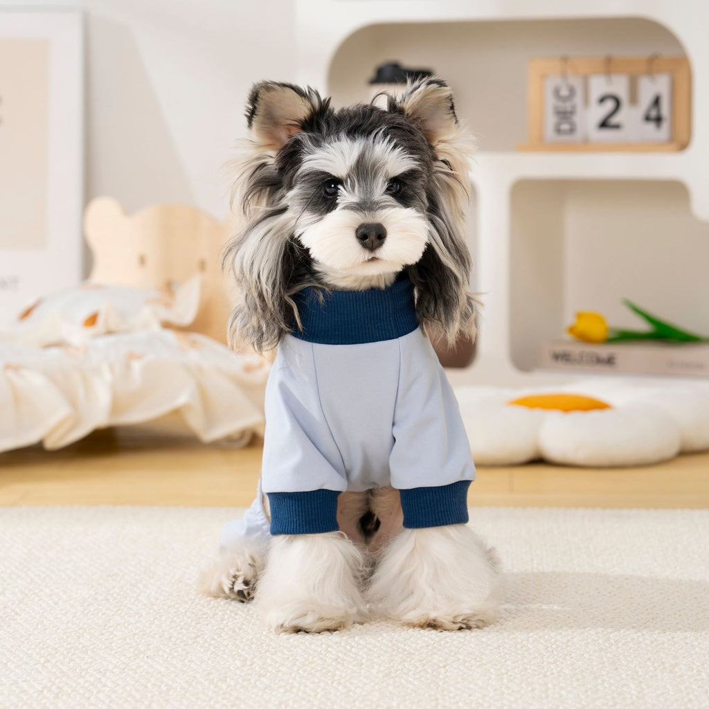 Pet apparel, dog clothes, four-legged outfit, korean style, new spring/summer collection, 26 korean minimalist four-legged design