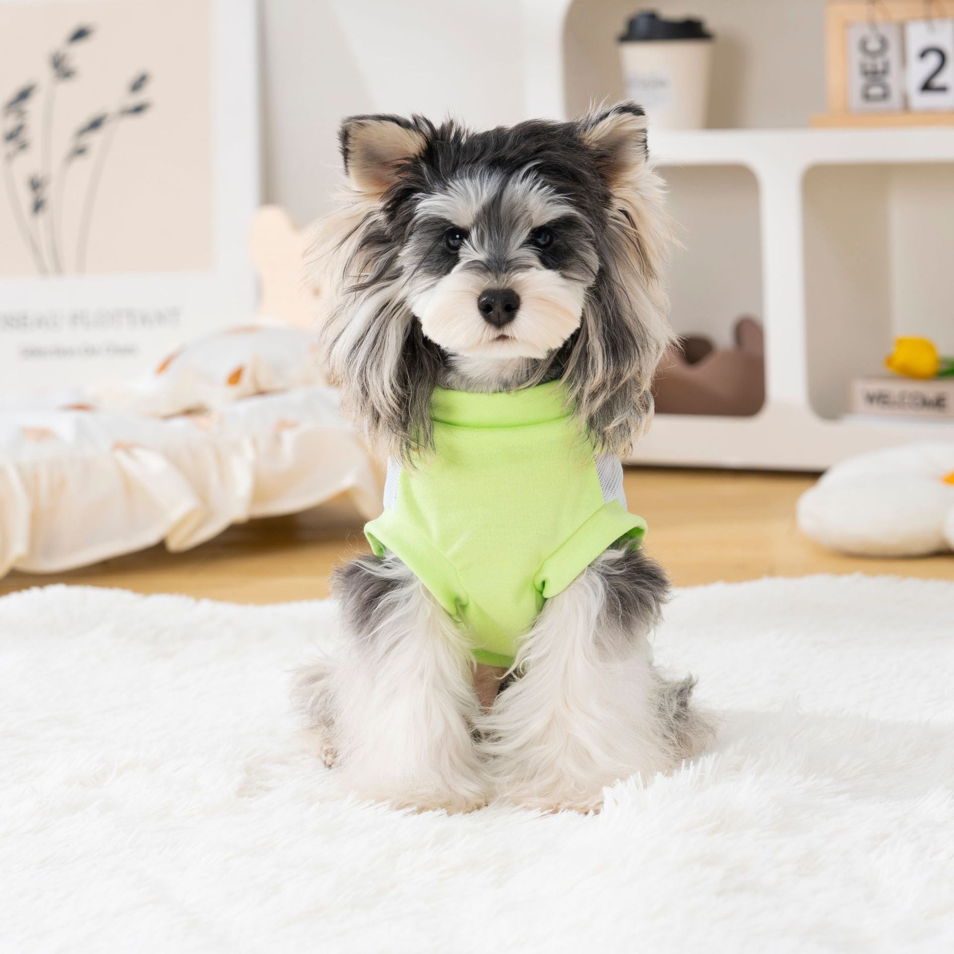 Pet clothes dog clothes cat pet clothing spring and summer new pet vest t-shirt 26 backpack printed t-shirt