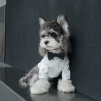 pet Four Season Shirt Schnauzer Maltese dog Festival Lapel Two Leg