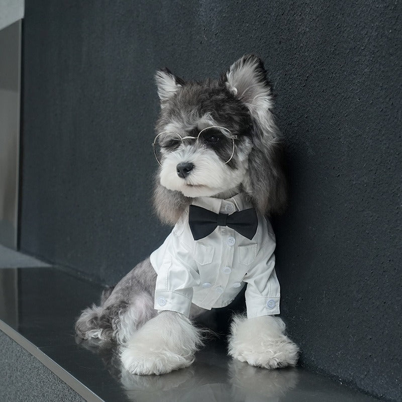pet Four Season Shirt Schnauzer Maltese dog Festival Lapel Two Leg