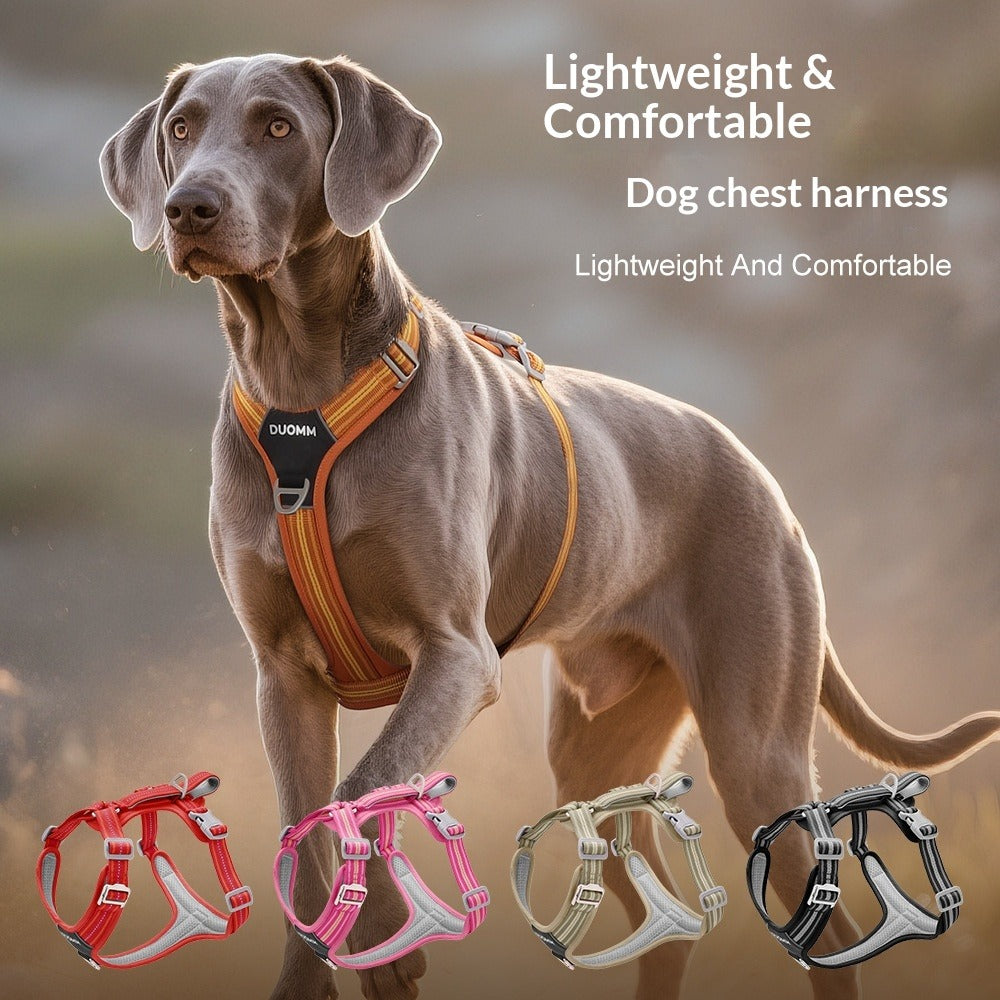 Cross Border dog Leash pet Harness Outdoor Harness