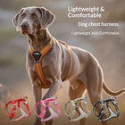 Cross Border dog Leash pet Harness Outdoor Harness