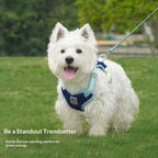 New dog Harness Color Block dog Harness Large Dogs Breathable dog Leash Wholesale