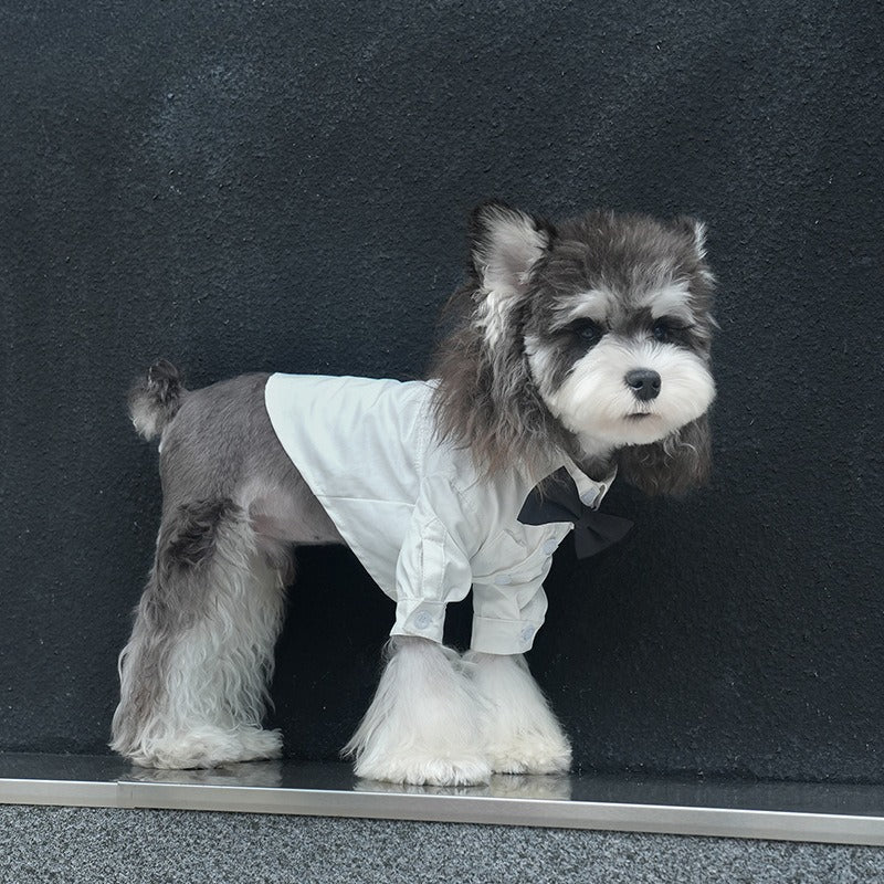 pet Four Season Shirt Schnauzer Maltese dog Festival Lapel Two Leg
