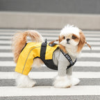 dog Clothes Spring Summer Two Leg Outerwear Schnauzer Outdoor