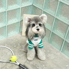 pet Vest Spring Summer Lightweight Mesh Breathable Small to Medium Dogs Outdoor