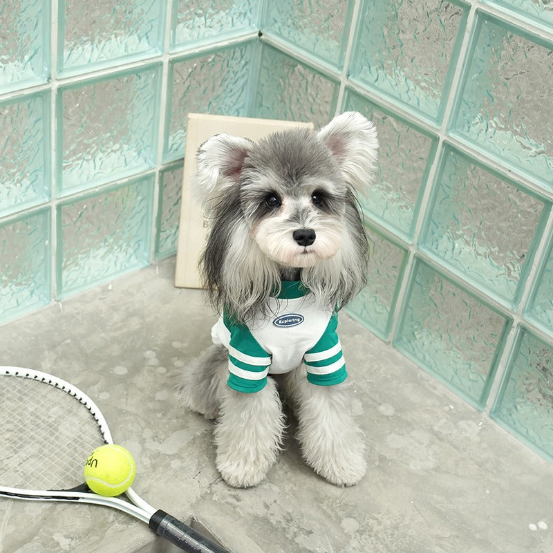 pet Vest Spring Summer Lightweight Mesh Breathable Small to Medium Dogs Outdoor