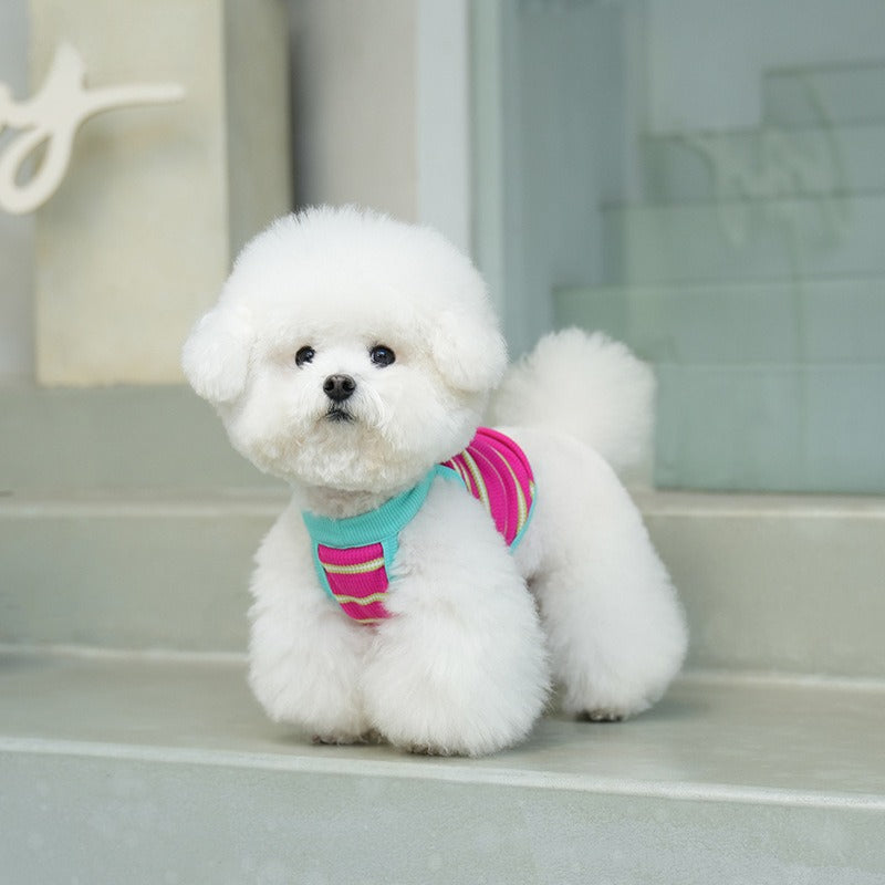 pet Clothing Spring Summer dog Striped Vest Bichon Yorkshire Terrier dog Clothes Summer