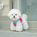 pet Clothing Spring Summer dog Striped Vest Bichon Yorkshire Terrier dog Clothes Summer