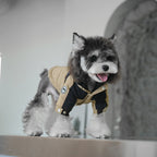 dog Clothes Fall Winter Warm Outdoor Windbreaker Schnauzer Teddy Hooded Leash-friendly pet Clothes Wholesale