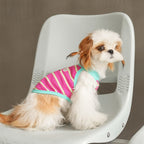 pet Clothing Spring Summer dog Striped Vest Bichon Yorkshire Terrier dog Clothes Summer