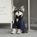 dog Clothes Spring Summer Solid Color Two Leg dog Schnauzer Luhoodie Outdoor pet