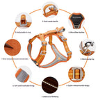 Cross Border dog Leash pet Harness Outdoor Harness
